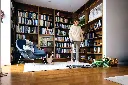 JPG-R_IZ380EUUK_InUse_Study_PickUp_CarpetToHardwood_Man_Dog.webp