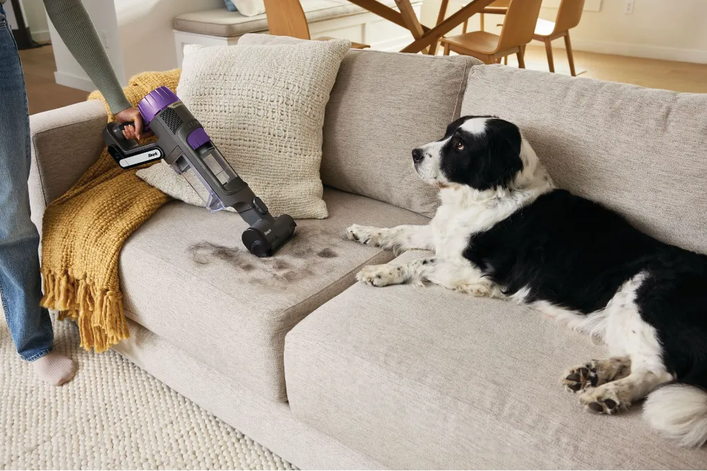 JPG-R_IP3251UKEUT_InUse_LivingRoom_AboveFloor_MotorizedHandTool_Man_Woman_Dog.webp