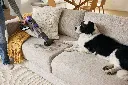 JPG-R_IP3251UKEUT_InUse_LivingRoom_AboveFloor_MotorizedHandTool_Man_Woman_Dog.webp
