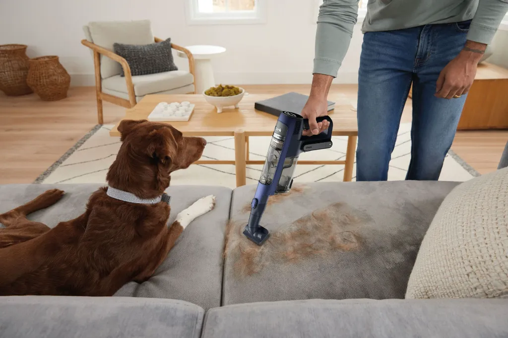 JPG-R_IA3241EUT_InUse_AbvFlr_Couch_MotorizedHandTool_Man_Dog.webp