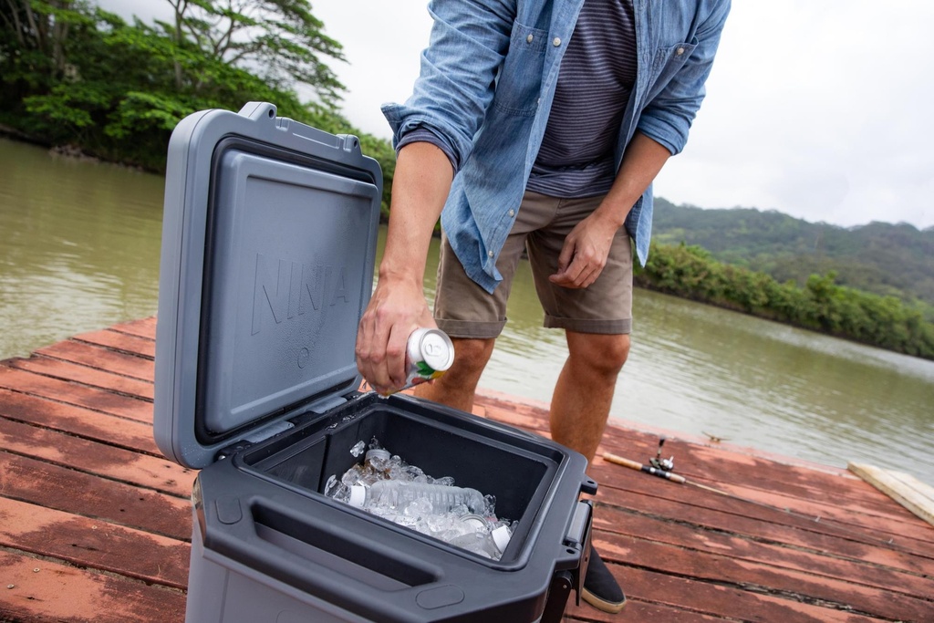 Image for COOLER BOX FROSTVAULT/28L FB131EUGY NINJA
